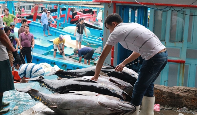 UKVFTA facilitates Việt Nam's tuna exports to UK market